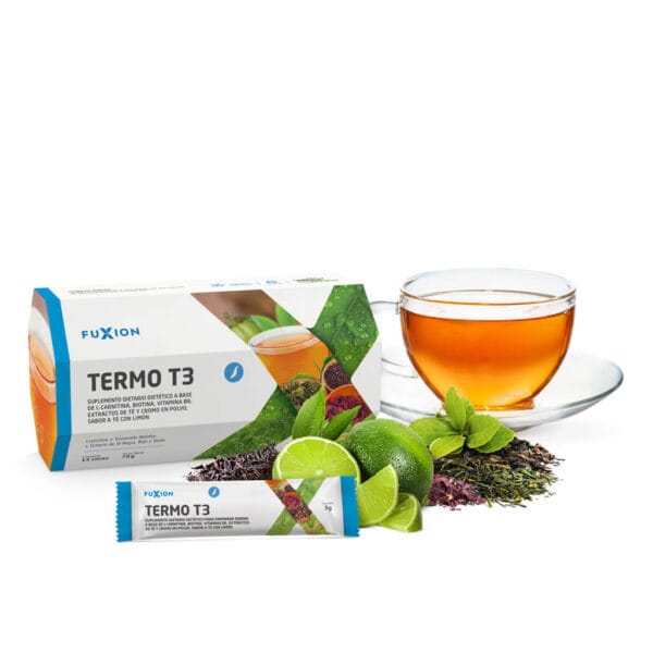 TERMO T3